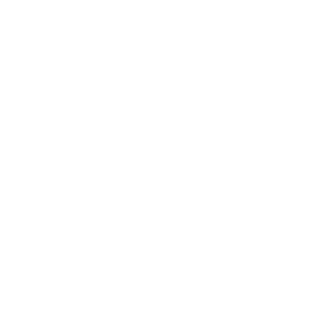 Fitz Madrid